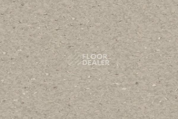 Линолеум Tarkett iQ Granit Acoustic GREY BEIGE фото 1 | FLOORDEALER